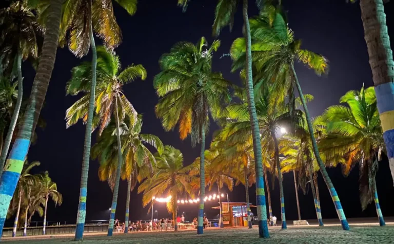 Los mejores planes turísticos para hacer en la Guajira