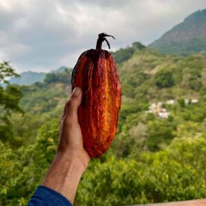 Minca - Naturaleza, Cultura y Aventura en la Sierra Nevada